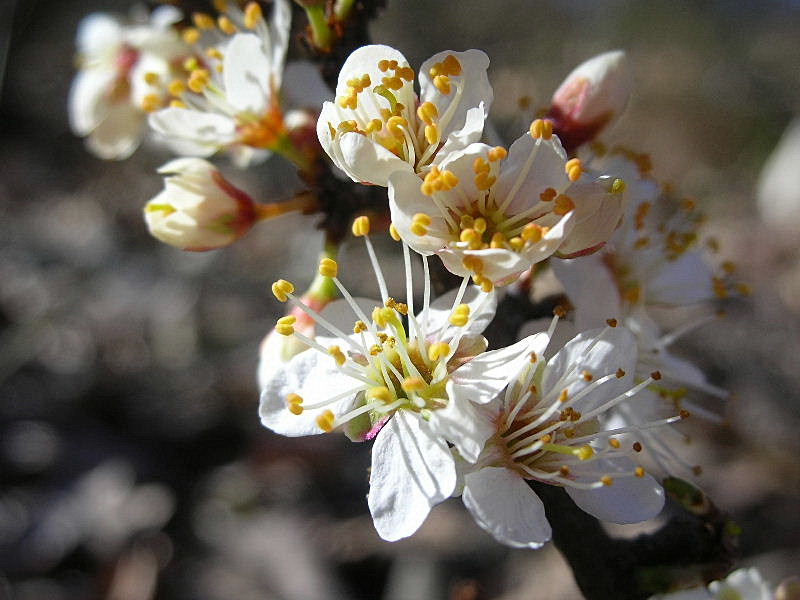 Aria di primavera...